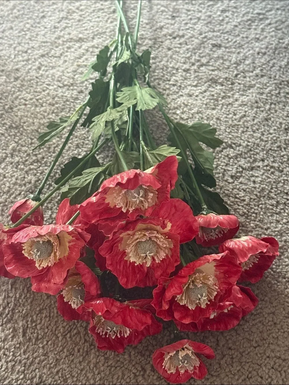 Red Hand Painted Poppy Stem Bouquet!
